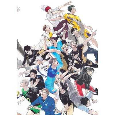 HAIKYUU! 10th Chronicle Regular Ed. (Japan Version)