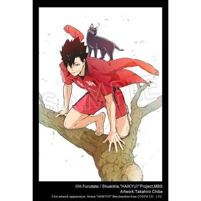 HAIKYU!! - Tetsuro Kuroo ARTFXJ 1/8 Kotobukiya PVC Figure 24 cm