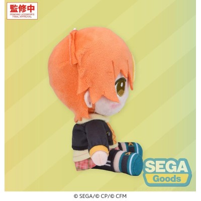 HATSUNE MIKU: COLORFUL STAGE! - Akito Shinonome Mysekai Plush Figure (S) Sega 13 cm